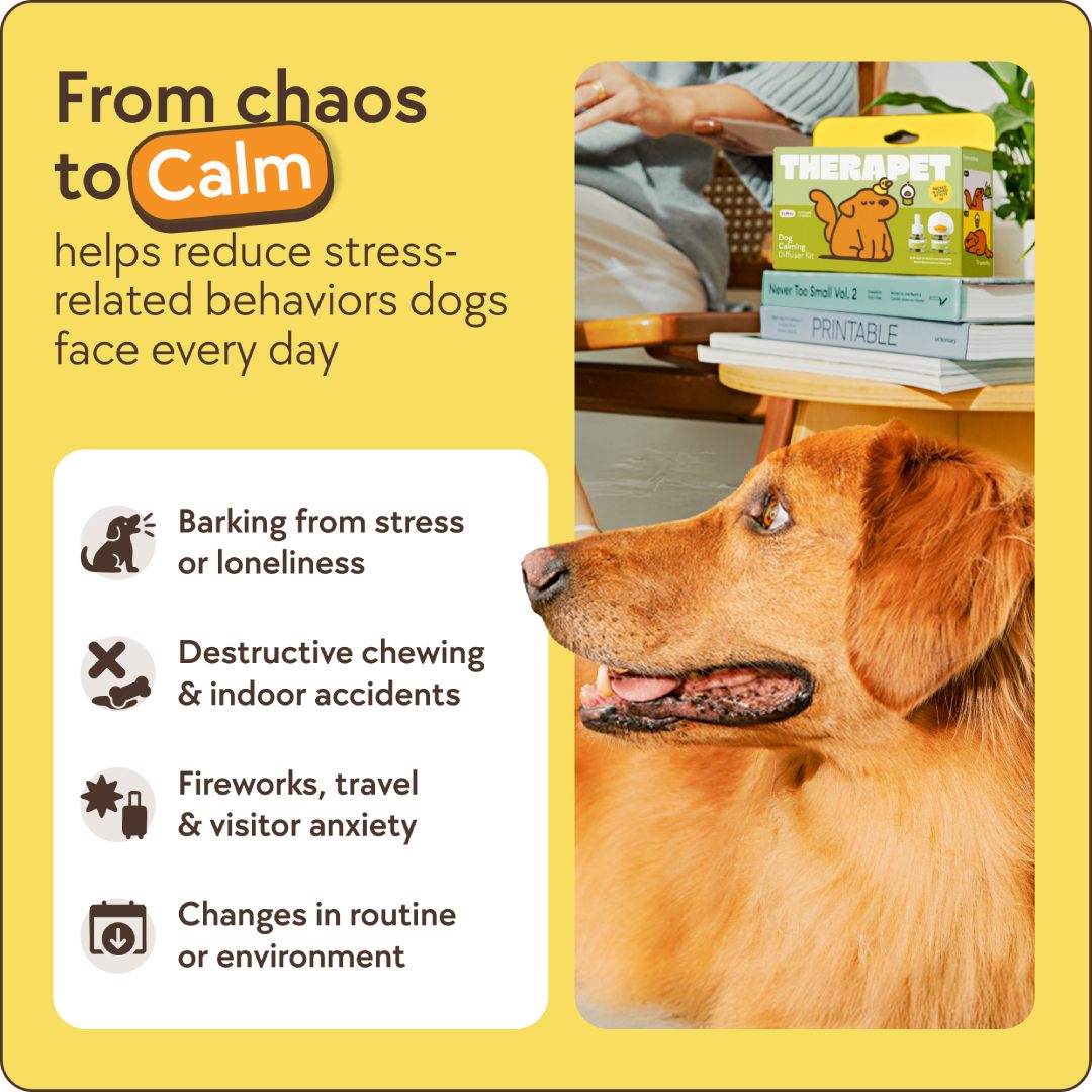 Set diffuseur apaisant pour chiens